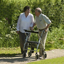 Load image into Gallery viewer, 2 In 1 Rollator &amp; Transit Chair