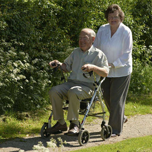 2 In 1 Rollator & Transit Chair